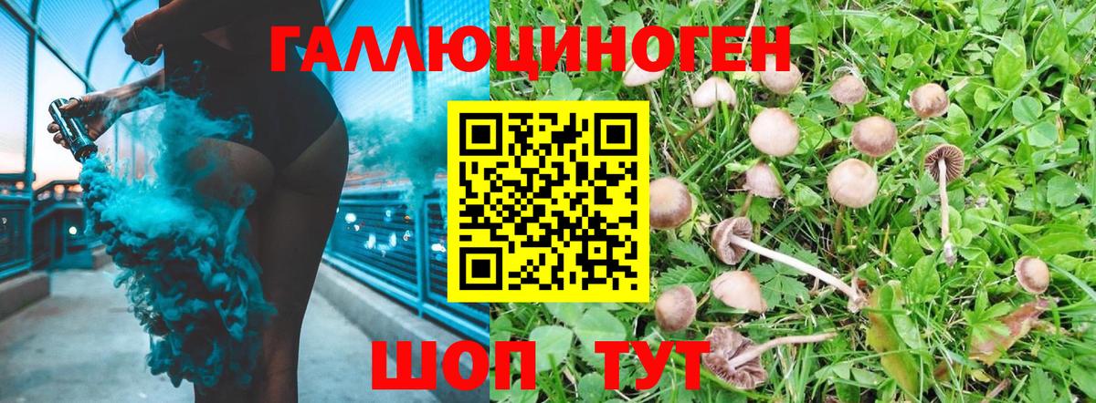 Псилоцибиновые грибы Magic Shrooms Сокол
