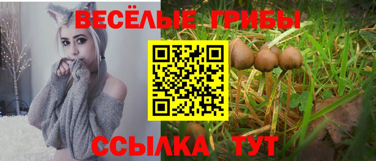 Галлюциногенные грибы мухоморы  Вход с VPN  Сокол 