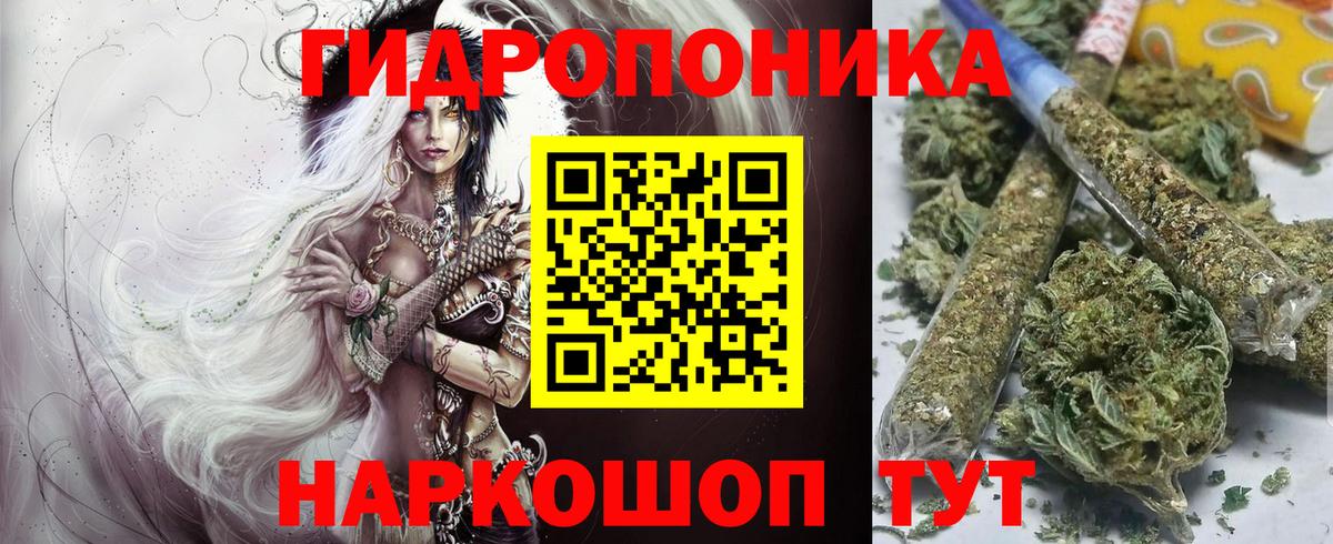 Бошки Шишки ГИДРОПОН  Вход с VPN  Сокол  Шишки марихуана тримм  Конопля SATIVA & INDICA  МАРИХУАНА SATIVA & INDICA 